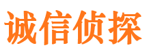 青原市私家侦探